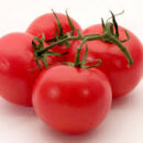 images images