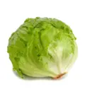 lechuga-iceberg-product lechuga-iceberg-product